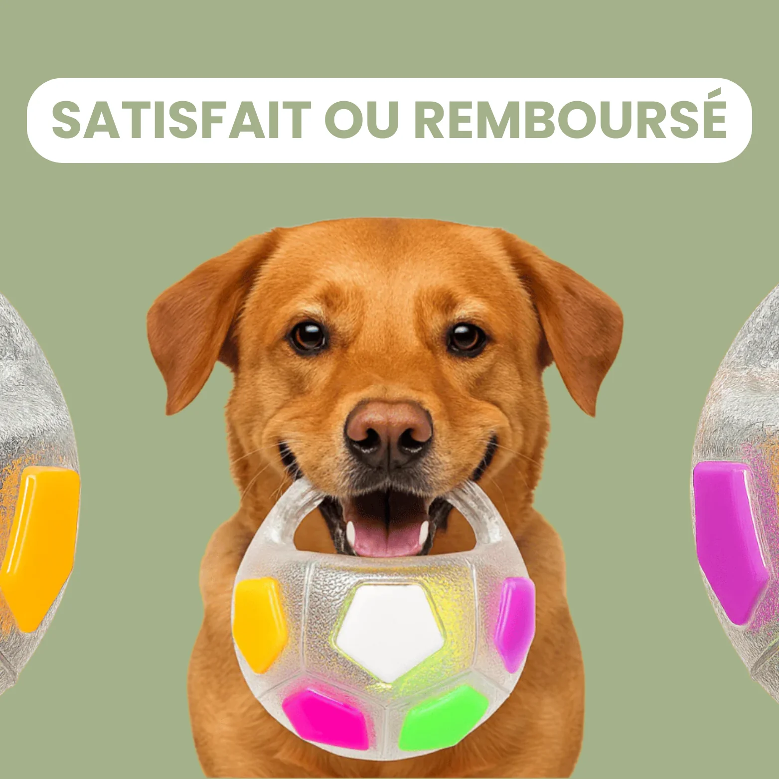 DogPlay - Balle anti-stress - Image 7