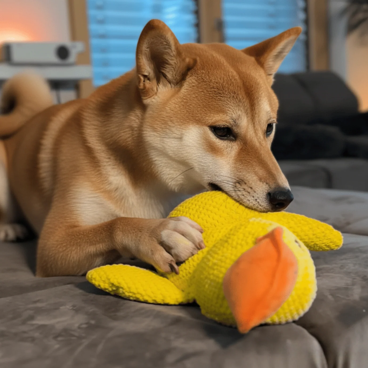 ZenDuck™ - Canard anti-stress - Image 6