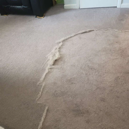 Cleaner EXTRA™ - Image 5