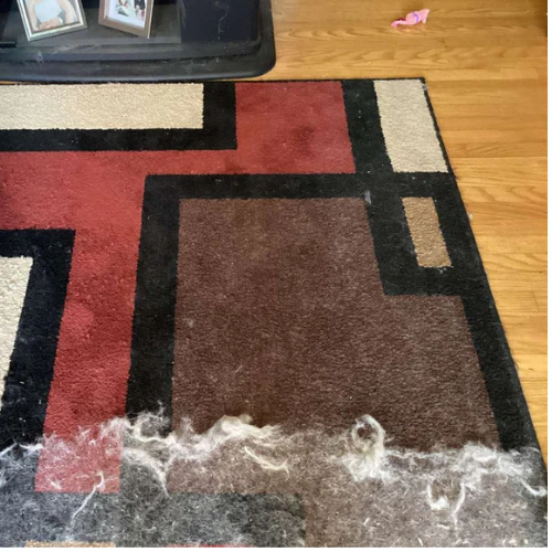 Cleaner EXTRA™ - Image 7