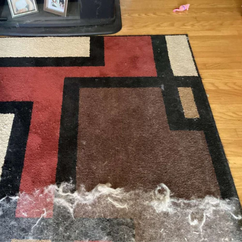 Cleaner PRO™ - Image 6