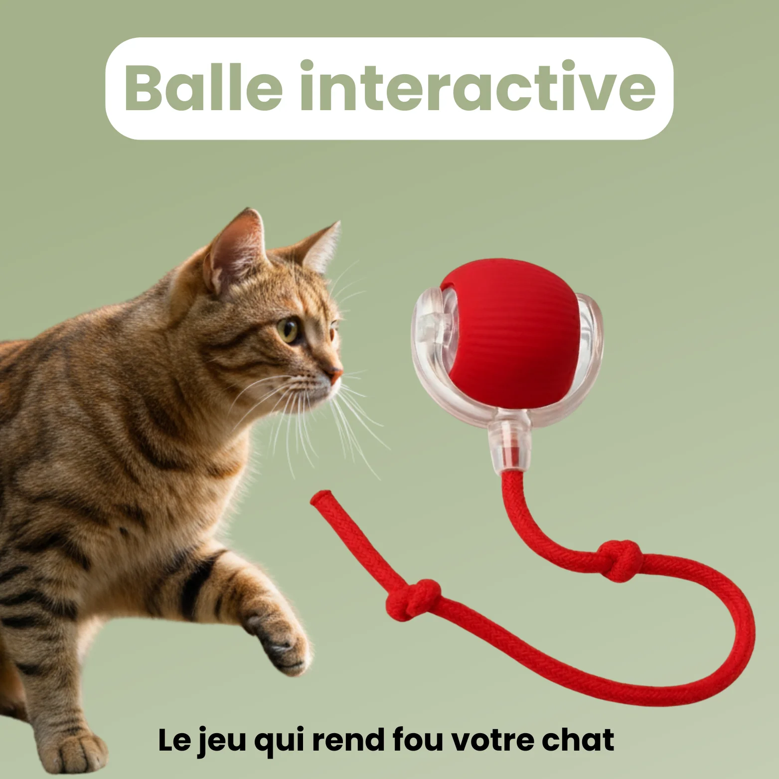 Produits pour chats