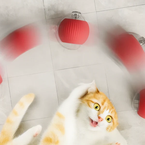 CrazyBall™ - Balle Interactive - Image 3
