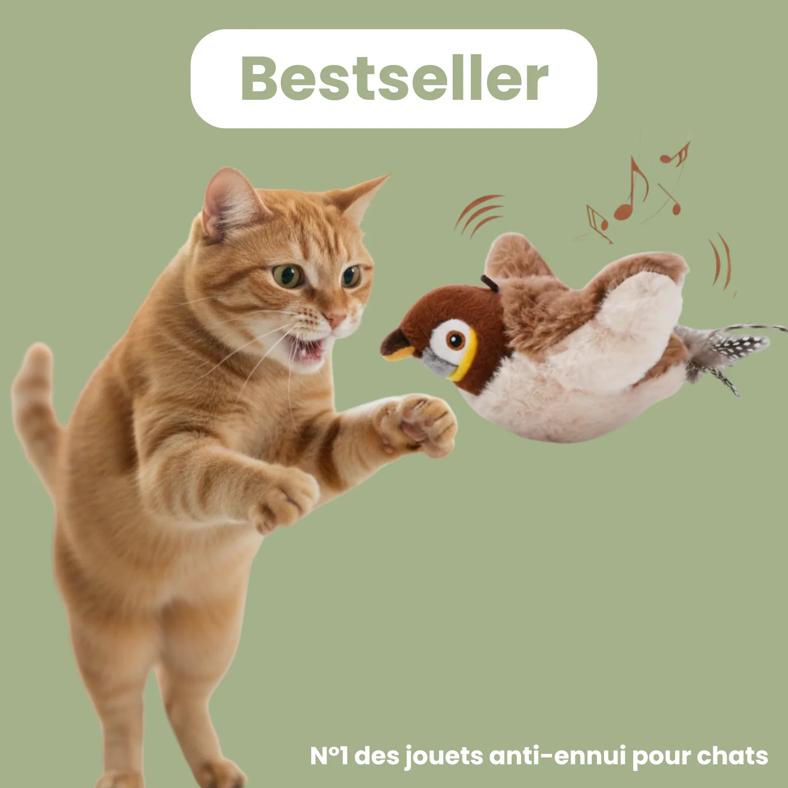Produits pour chats