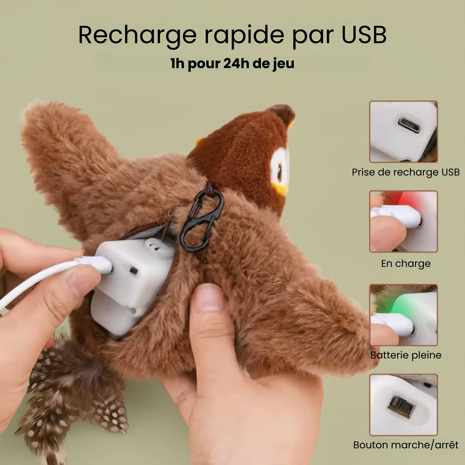 FlyBird 2.0 - Image 3