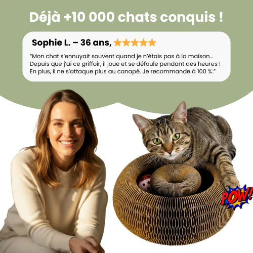 Griffoir interactif pour chats - Image 4