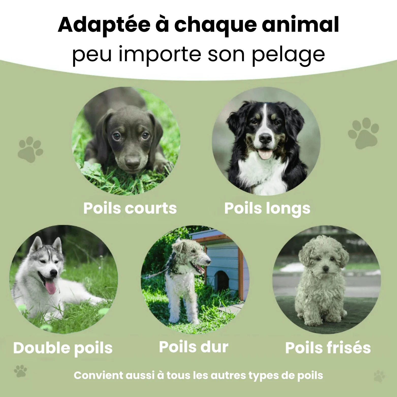 La Brosse Magique pour chien - Image 4