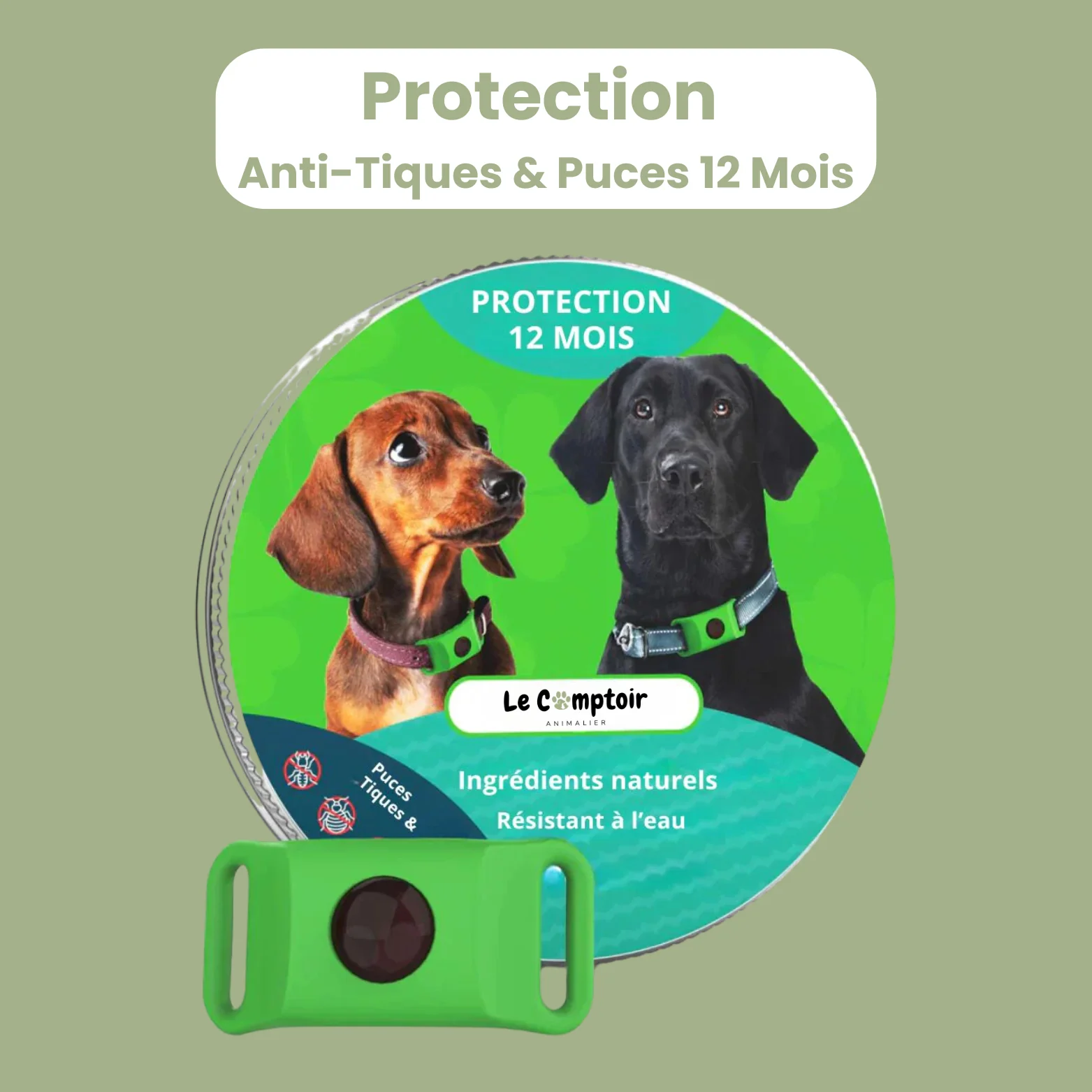 Produits pour chiens